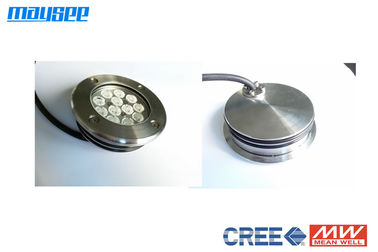 316 Stainless steel 12w / 36w LED Pool light LED Pond light LED marine light